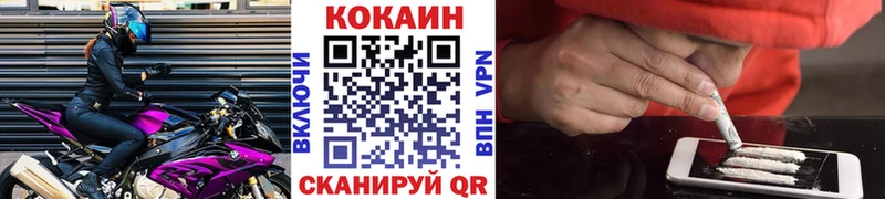 где купить наркоту  Новоалтайск  OMG рабочий сайт  КОКАИН Fish Scale 
