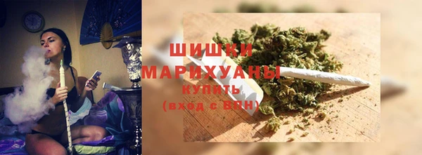 индика Краснослободск