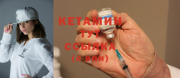 индика Краснослободск