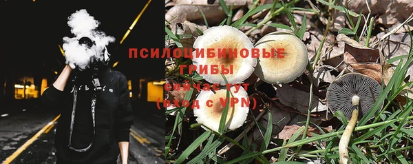 a pvp Костерёво