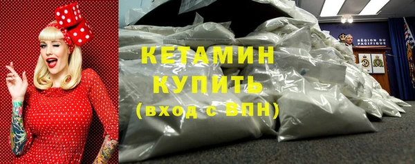 индика Краснослободск