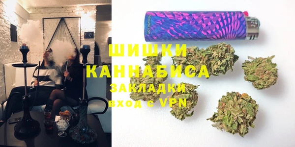 индика Краснослободск