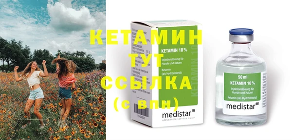 индика Краснослободск