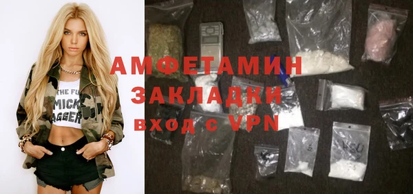 индика Краснослободск
