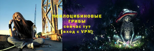 a pvp Костерёво
