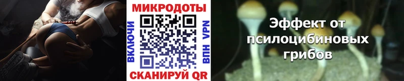 Галлюциногенные грибы мицелий  Новоалтайск 